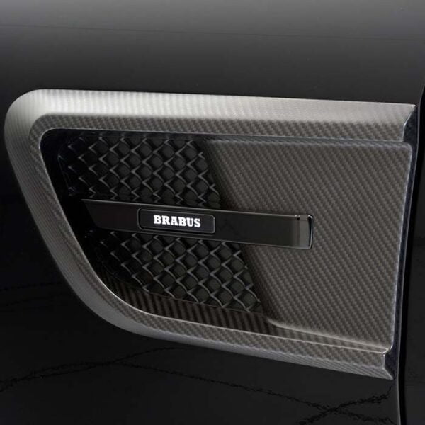 Grile aripi carbon GT Class BRABUS C190 Mercedes Benz